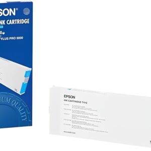 Epson T410011