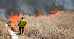 wildland fire utility work vest in outdoor environment