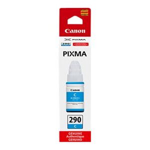 CANON PIXMA G4200 GI290 SD